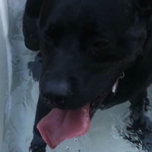 Meet your Posher, Stefanie